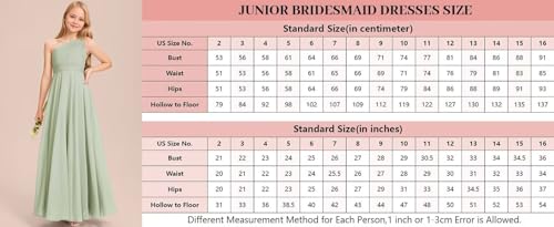 One Shoulder Chiffon Junior Bridesmaid Dresses Long A-Line Pleated Flower Girl Dress for Teen Girls Pageant Dress