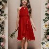 Kids A-Line Halter Neck Chiffon Junior Bridesmaid Dresses Fancy Girl Dress Wedding Elegant Party Gown 5-14 Years