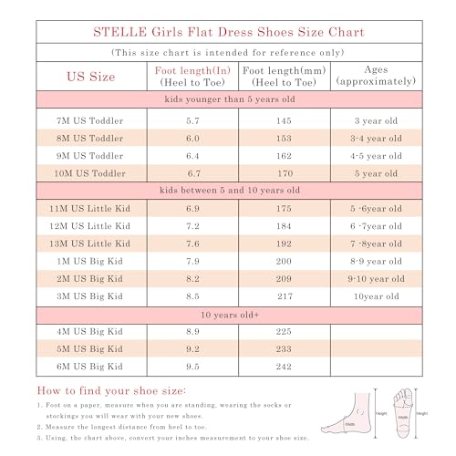 Girls Wedding Dress Shoes Ballet Flats Flower Party Mary Jane with Beaded Straps Toddler/Little/Big Kids